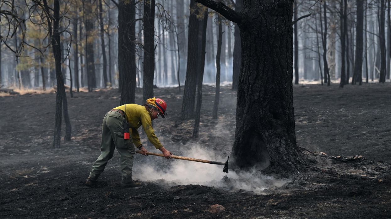 firefighter_newmexico