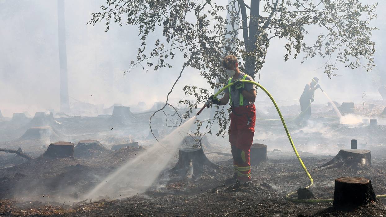 Firefighters extinguish a forest fire in Germany