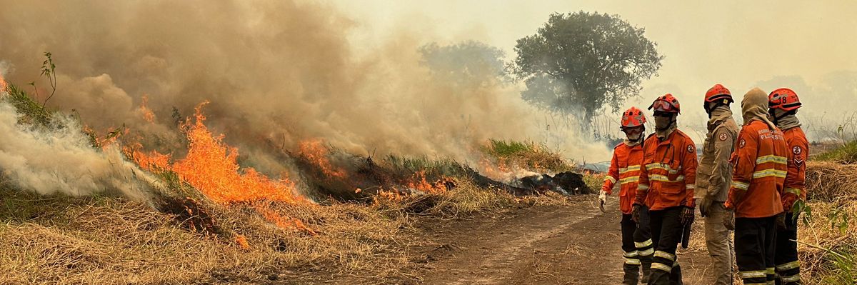 Firefighters tackle forest fires in Brazil