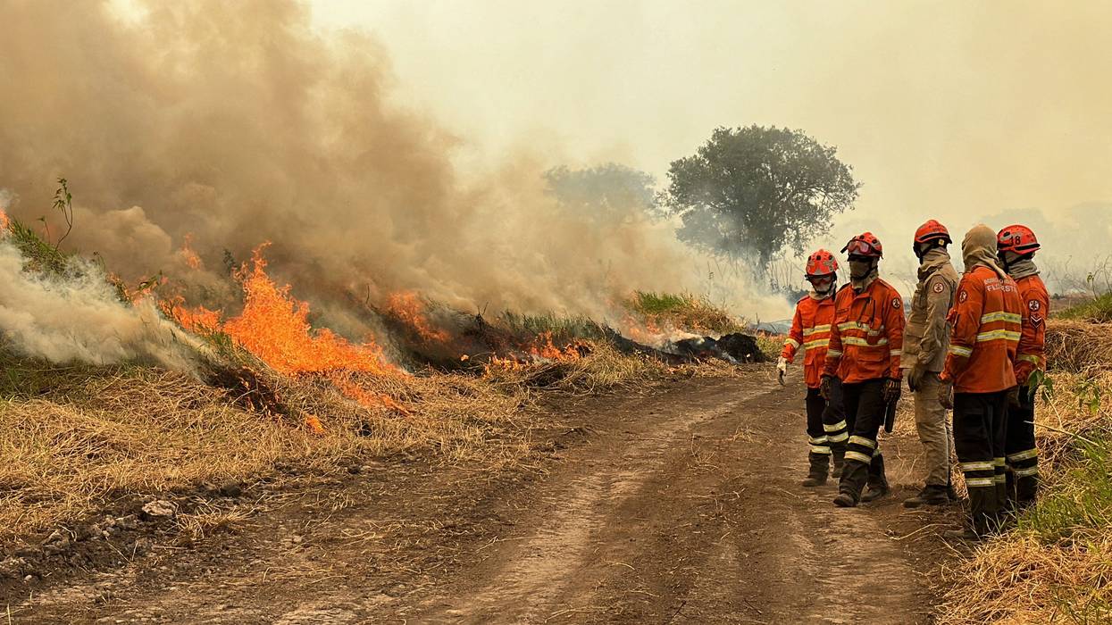Firefighters tackle forest fires in Brazil
