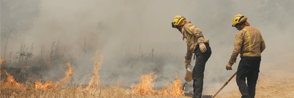 With 2019 Predicted to Be Among Planet's Hottest Years, France's 114o Heat Is 'Absolutely Consistent' With Warnings of Climate Crisis