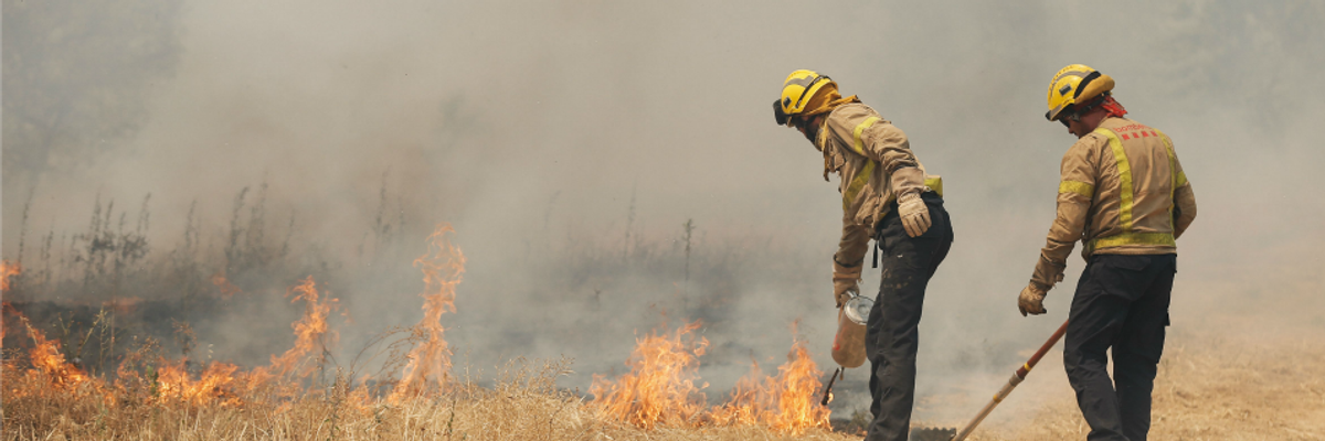 With 2019 Predicted to Be Among Planet's Hottest Years, France's 114o Heat Is 'Absolutely Consistent' With Warnings of Climate Crisis