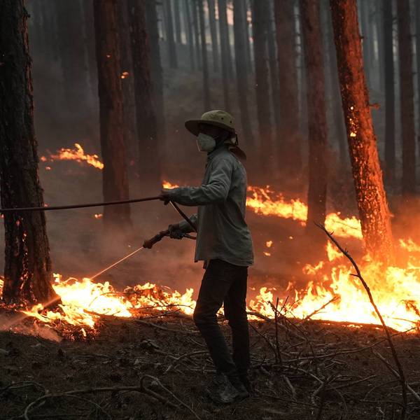 Firefighting efforts continue in Aydin's Cine