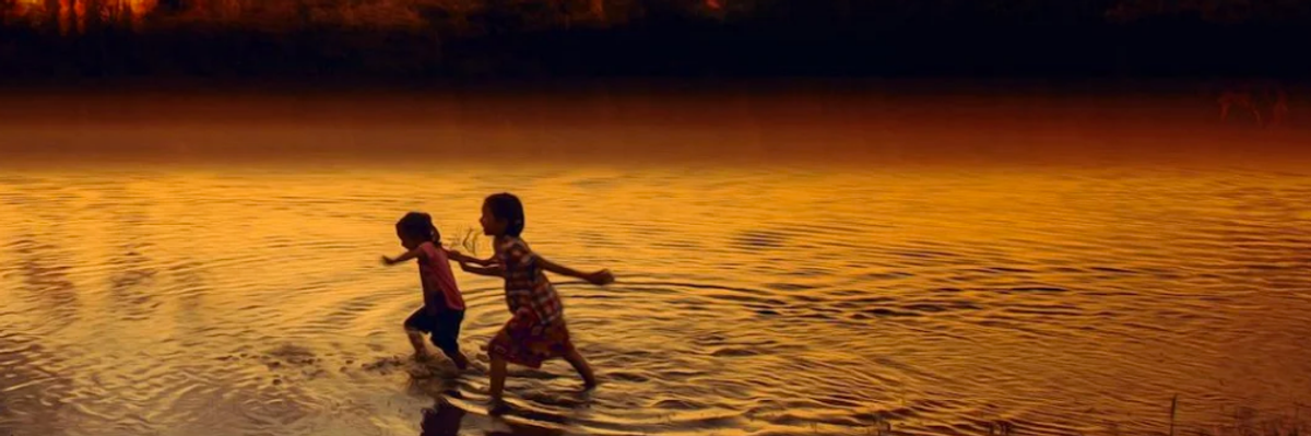 Amazon Rainforest Will Collapse by 2064, New Study Predicts