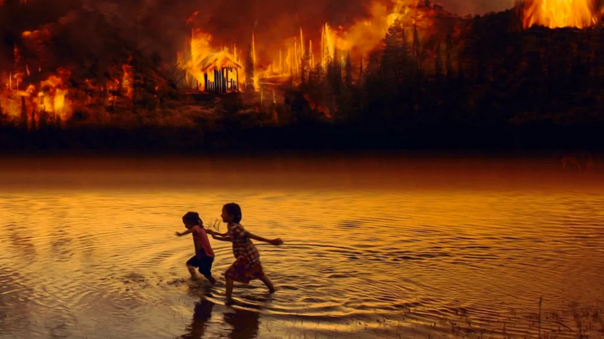 Amazon Rainforest Will Collapse by 2064, New Study Predicts