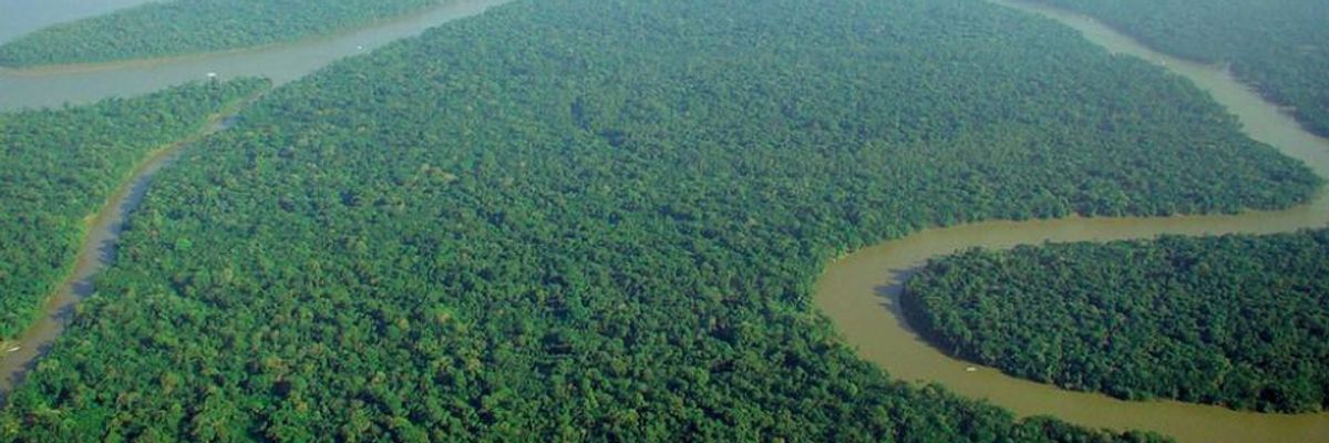 New Report Takes Aim at Five Banking Institutions Backing Amazon Rainforest Exploitation