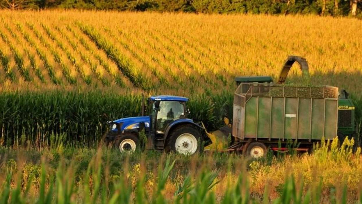 Trump's Farmer "Bailout," Explained