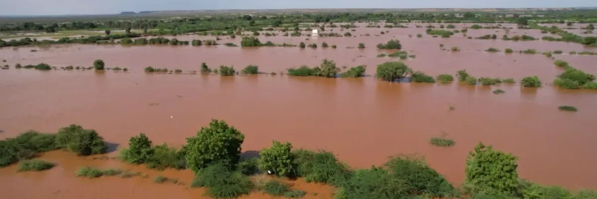 Flooded fields in Kenya. 
