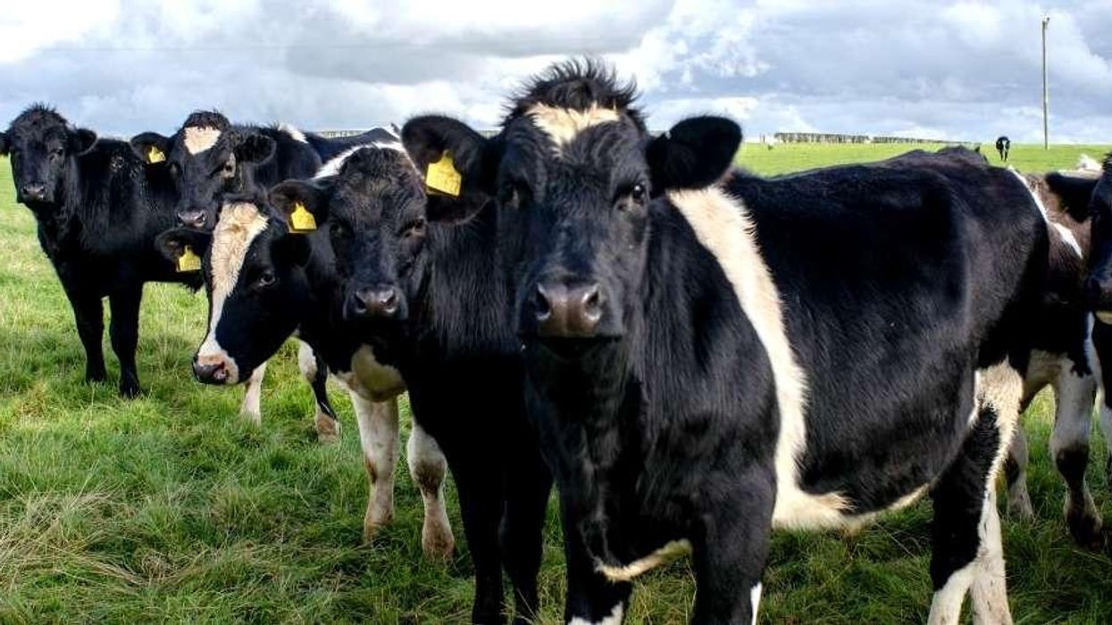 Eating Well Without Destroying the Climate