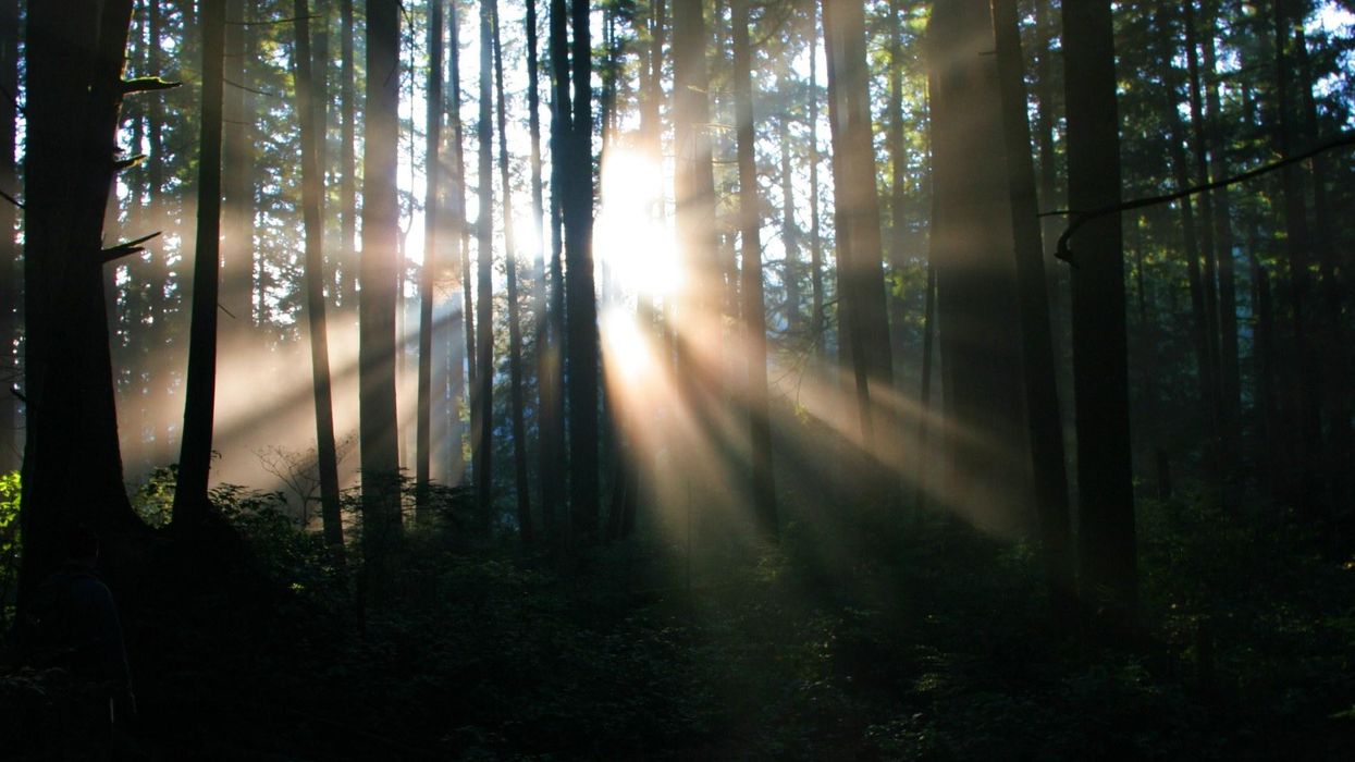 Connecting the Dots Between the Climate and Biodiversity Crises