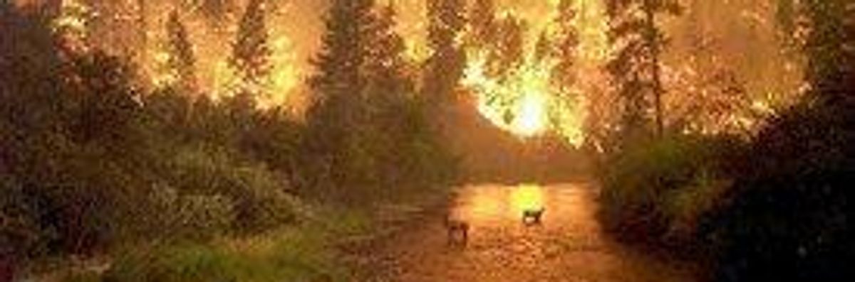 US in Flames: Global Warming, 'Perfect Recipe for Fire'