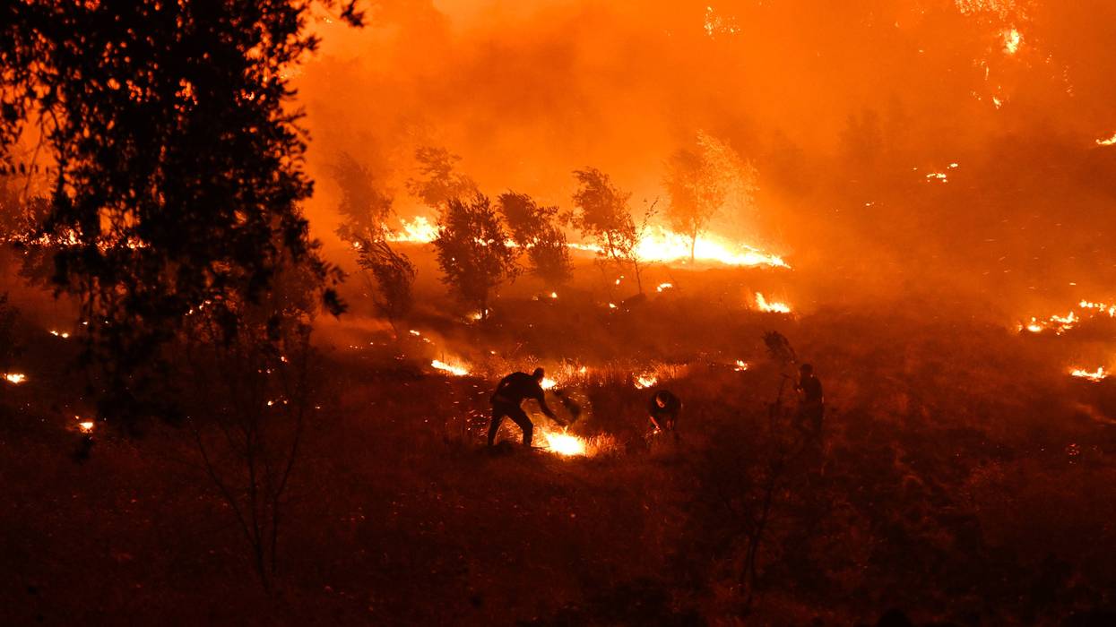 Forest fire spreads in Adana's Kozan district