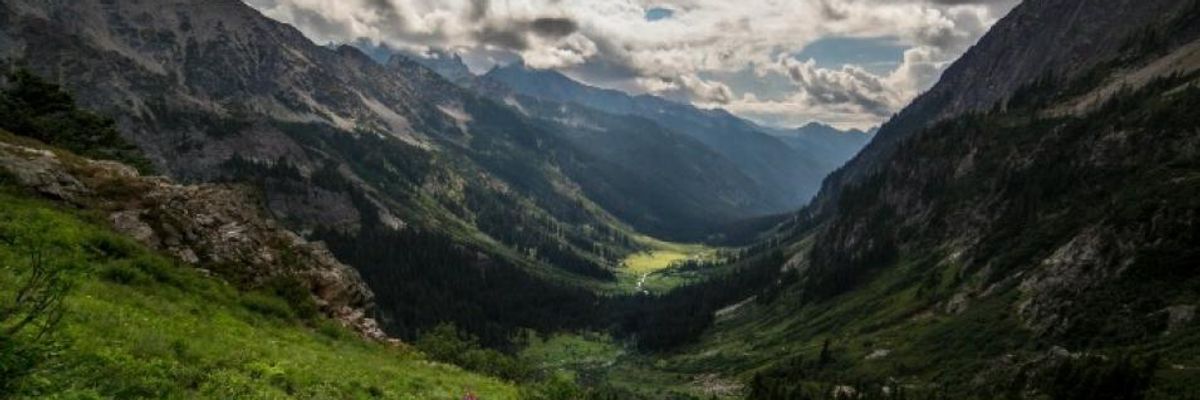 Recreating the Wilderness