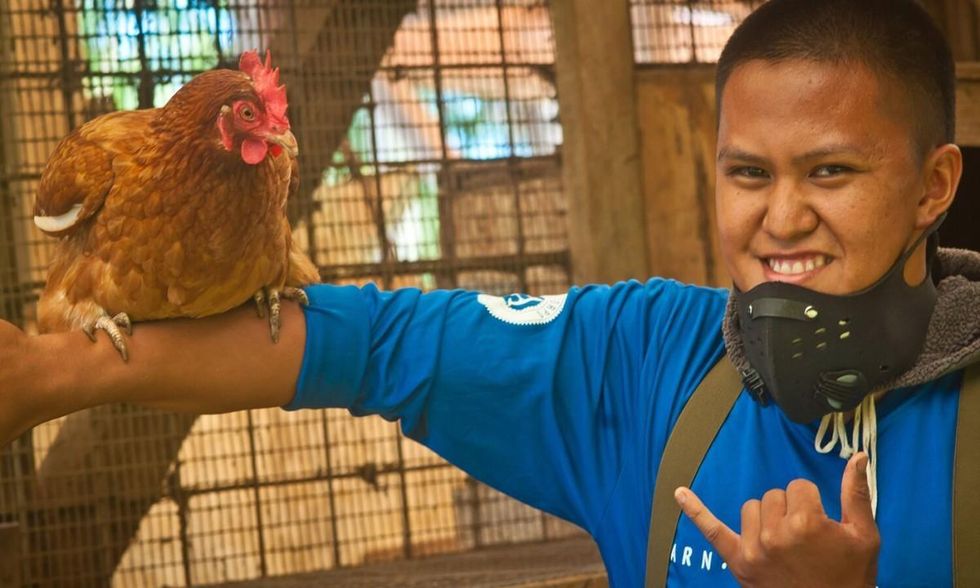 Former member of the Ho'okahua Ai Youth Mentorship Program and current farm assistant Jamiel Ventura. (Photo: Malia Welch)
