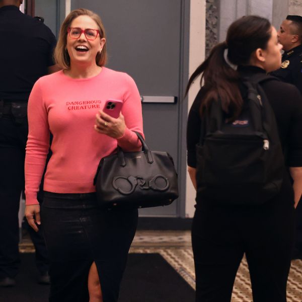 'Cartoon Villain' Ex-Senator Kyrsten Sinema Now Shilling for Big Tech's Power-Sucking AI Data Centers