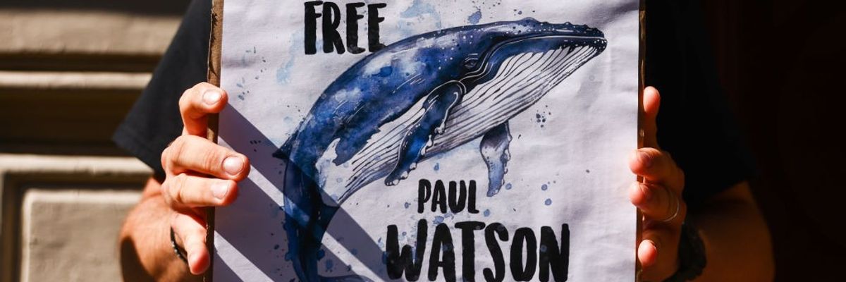 "Free Paul Watson"