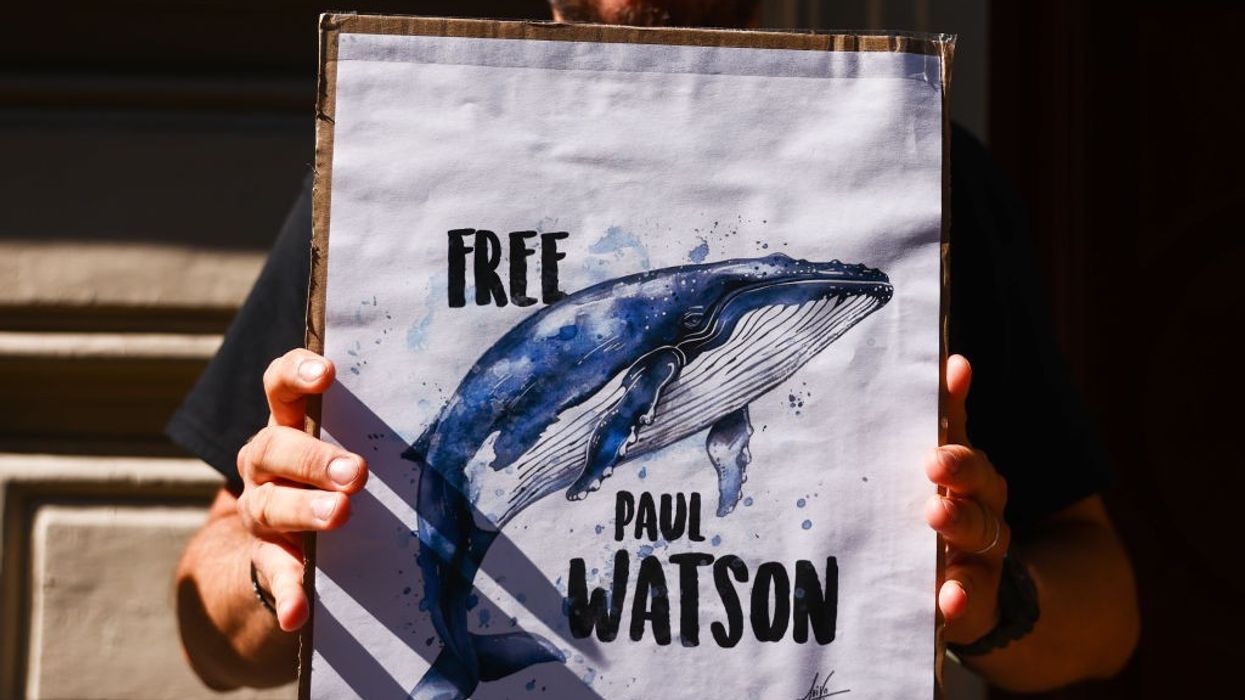 "Free Paul Watson"