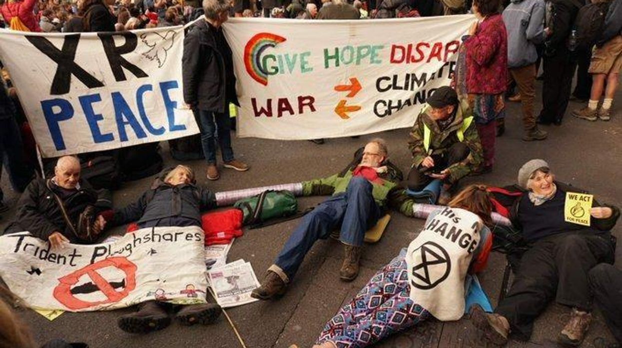 Extinction Rebellion: A Flock of Starlings and a Plane Tree