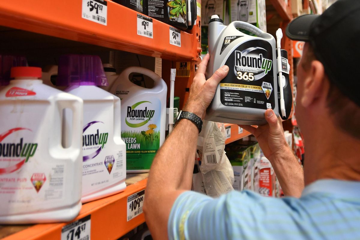 Bayer to Stop Residential Sales of Glyphosate-Based Roundup by 2023 -  Modern Farmer