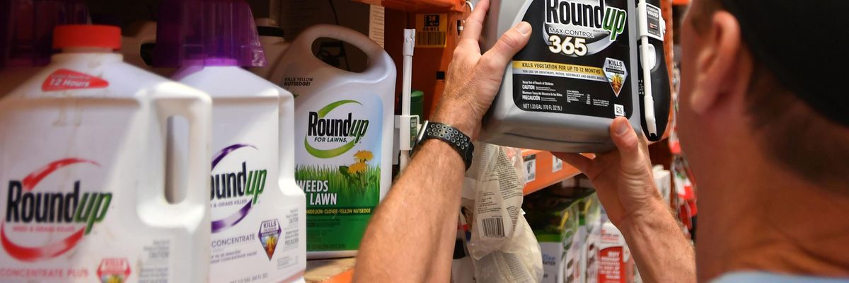 Gary Harms shops for Roundup products at a store in San Rafael, California, on July, 9, 2018. Glyphosate, the active ingredient in Roundup, has been classified by the World Health Organization as a probable human carcinogen since 2015. (Photo: Josh Edelson/AFP/Getty Images)