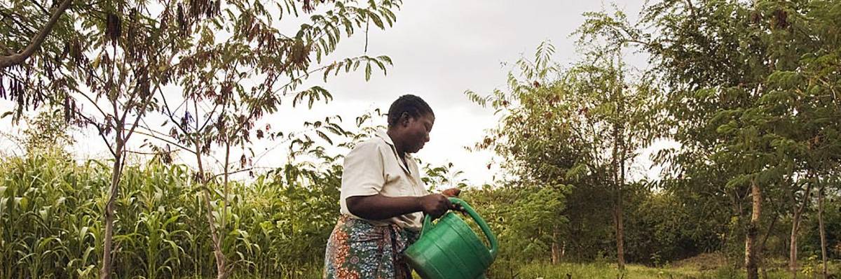 Agroecology is Becoming A Global Movement. But Where Does the U.S. Fit In?