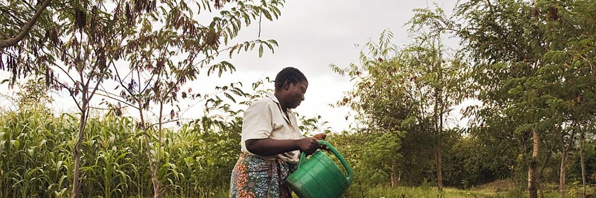 Agroecology is Becoming A Global Movement. But Where Does the U.S. Fit In?