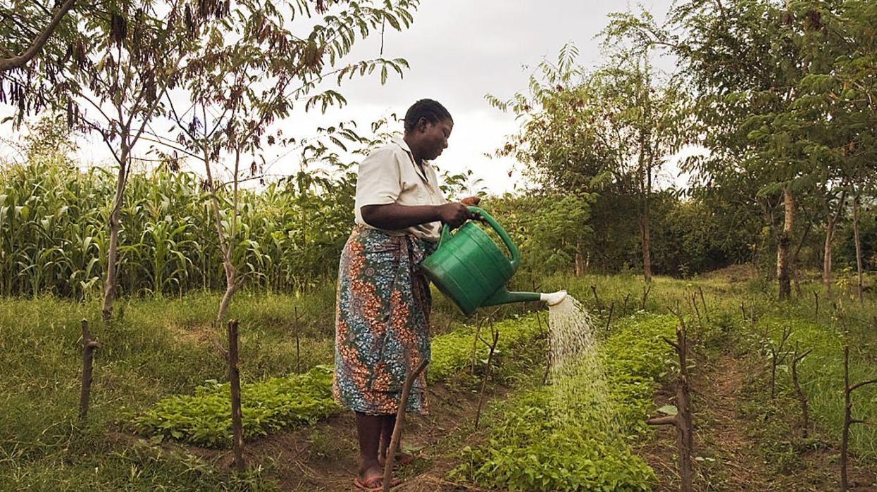 Agroecology is Becoming A Global Movement. But Where Does the U.S. Fit In?