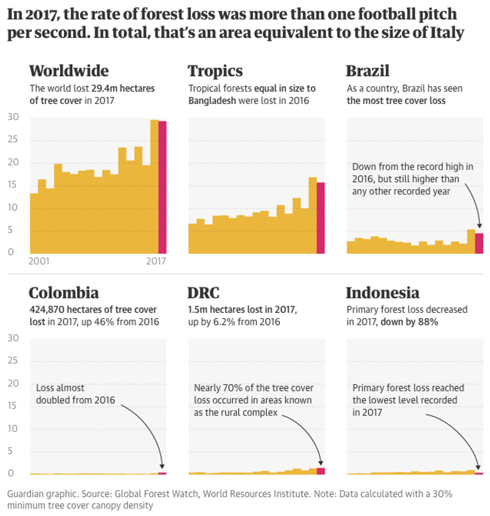 global forest loss