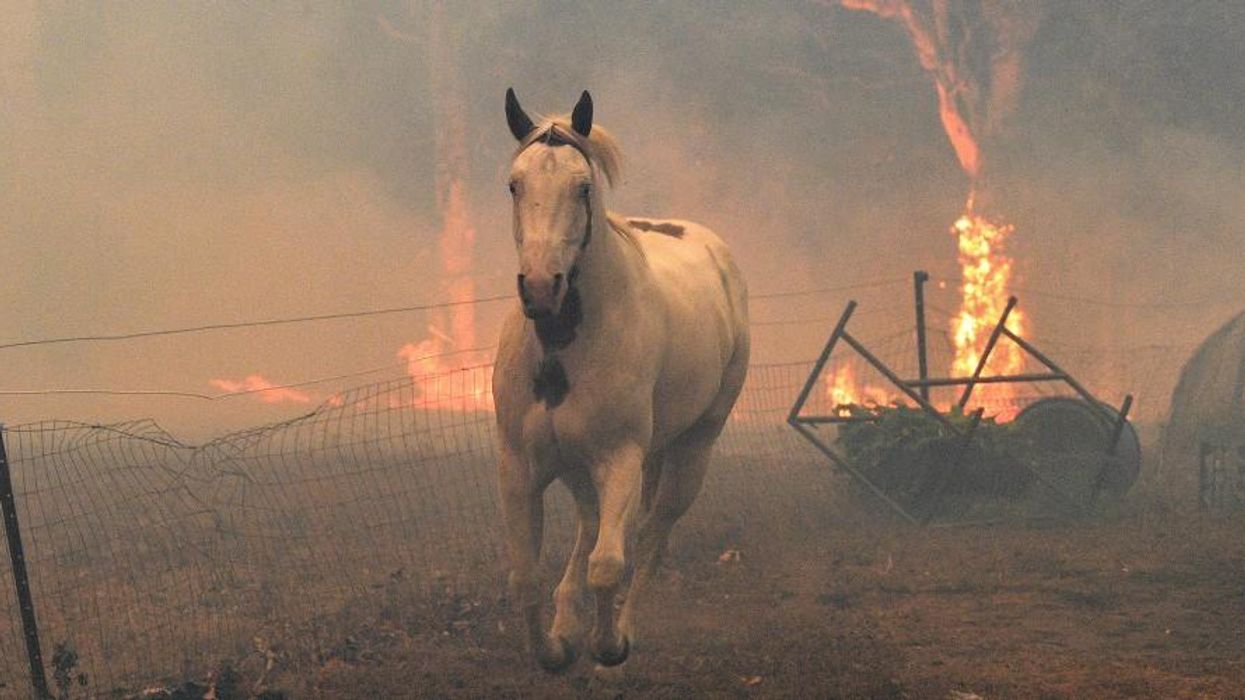 The Australia Fires Portend a Future of Climate Apartheid