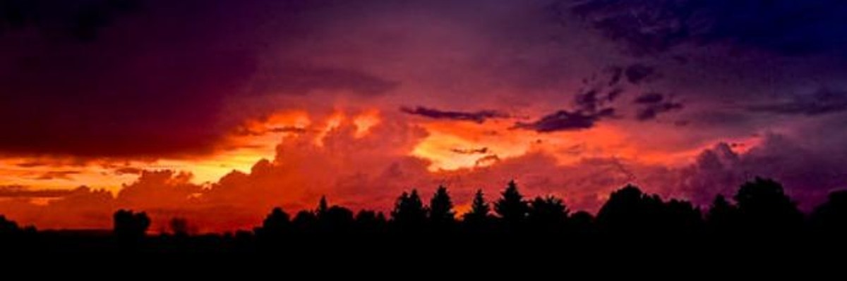 Earth Could Reach Critical Climate Threshold in Decade, Scientists Warn