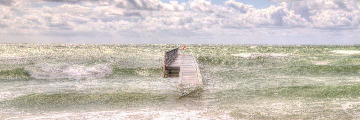 Waking Up to the Sunrise Movement