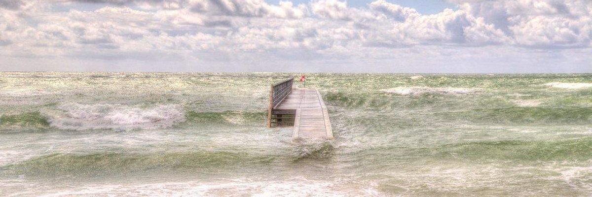 Waking Up to the Sunrise Movement