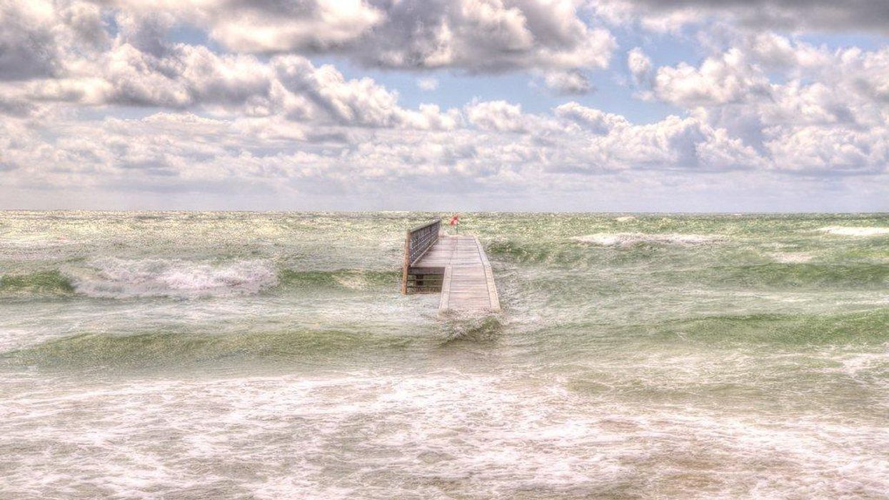 Waking Up to the Sunrise Movement