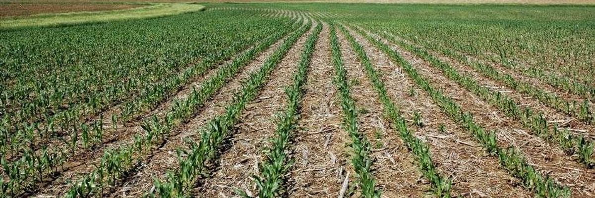 Landmark UN Report Emphasizes Crucial Role of Regenerative Farming Practices to Address Climate and Food Emergencies