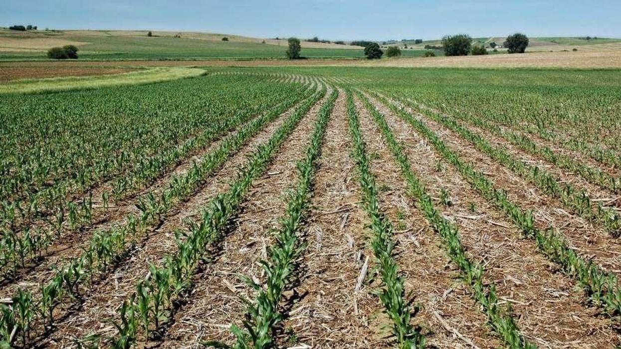 Landmark UN Report Emphasizes Crucial Role of Regenerative Farming Practices to Address Climate and Food Emergencies