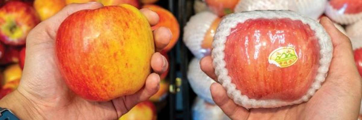 Greenpeace Report Offers Vision of 'Smart Supermarkets' and a Future Free of Single-Use Plastics