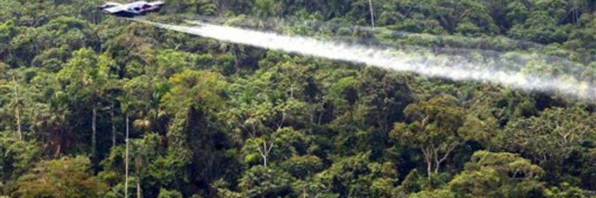 Campaign Against Glyphosate Steps Up in Latin America