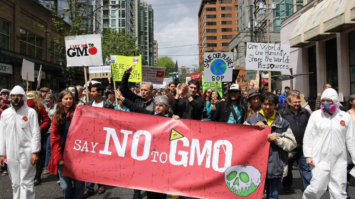 GMO
