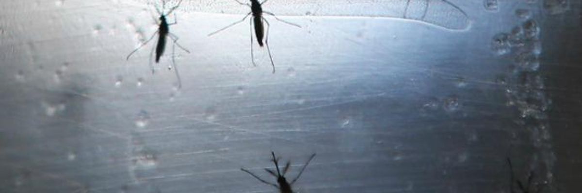 Congress Must Move Beyond Partisan Politics and Act on Zika