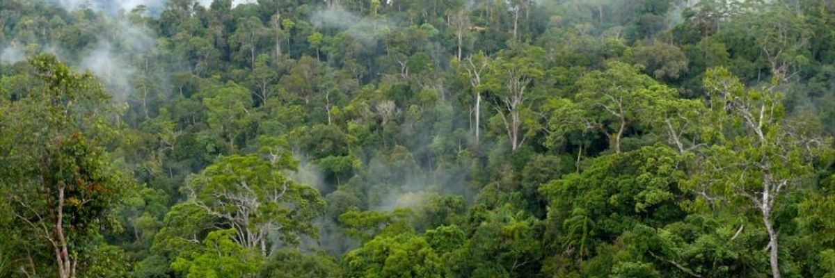 Environmental Funding Bypasses Indigenous Communities