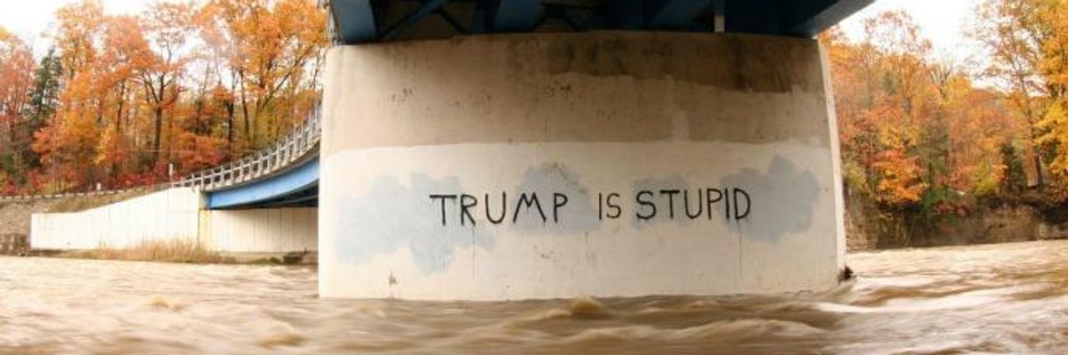 Seriously, How Dumb is Trump?