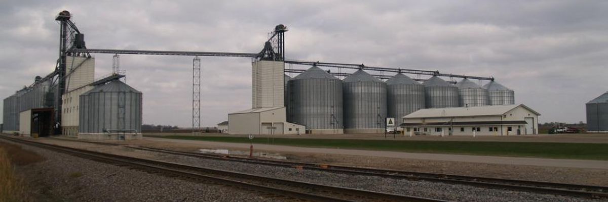 Midwestern Wheat Left Rotting as Oil Trains Roll By