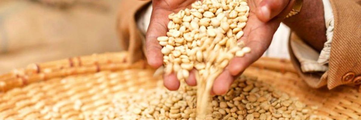 Grain passing through a person's hands