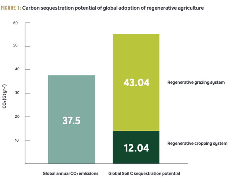 Graph from Rodale Institute's new white paper