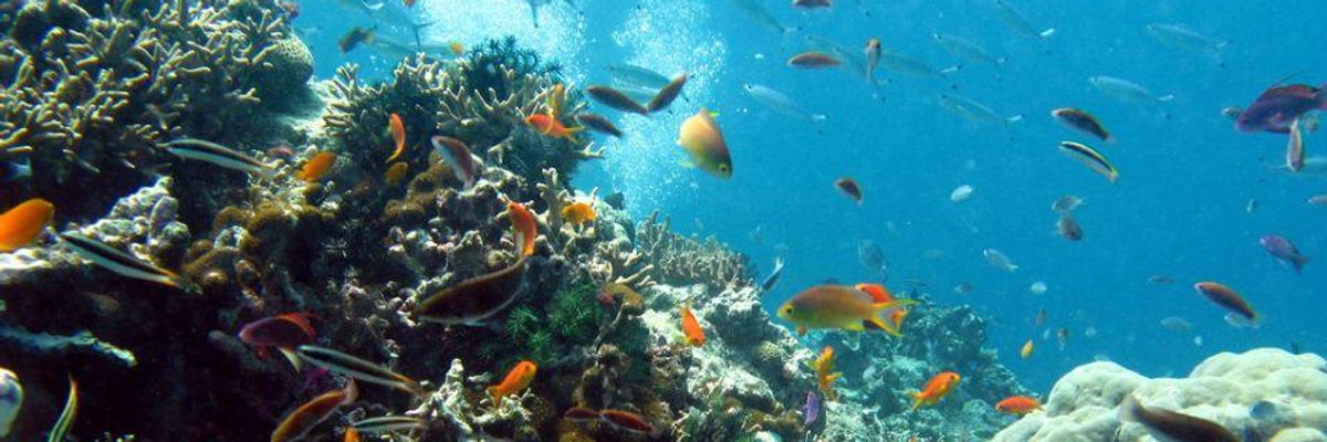 Great Barrier Reef