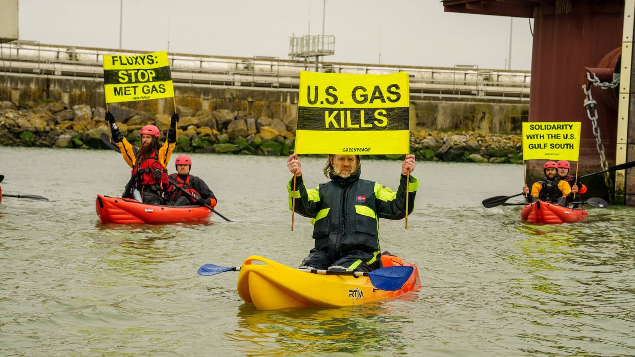 Greenpeace activists