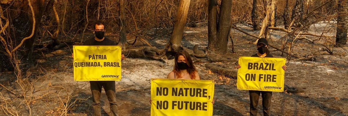 Greenpeace Brazil activists