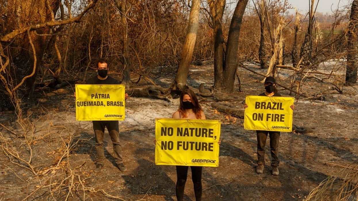 Greenpeace Brazil activists