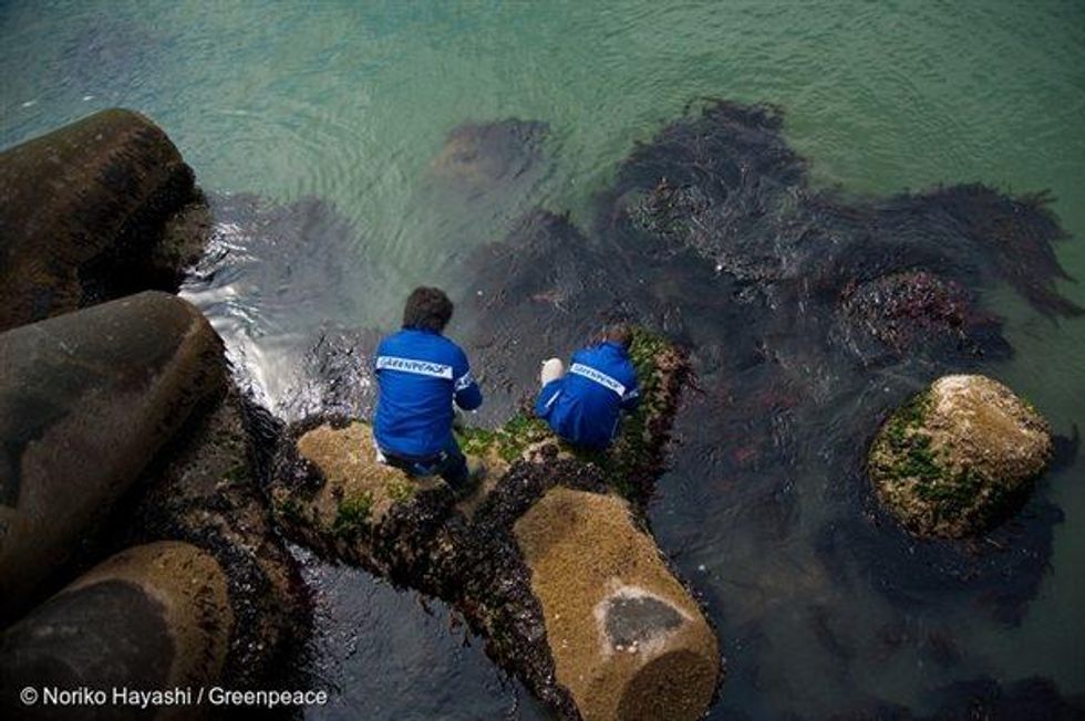 Greenpeace radiation monitoring team conduct seaweed testing along the Fukushima coastline.