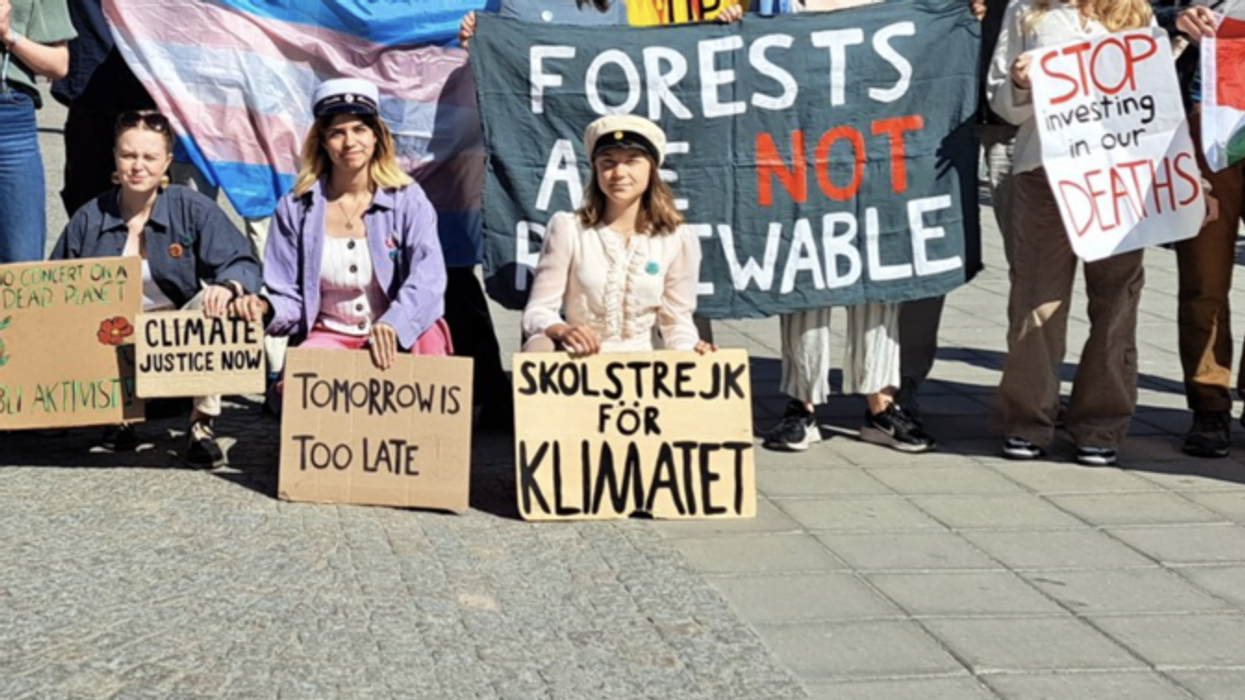 Greta Thunberg and climate activists.